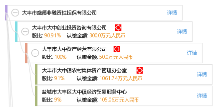 大豐市盛德非融資性擔保 專業服務助力商業發展