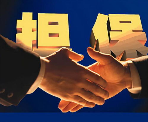 泰安弘澤擔保 勇做服務實體經濟主力軍，破解小微三農融資難題